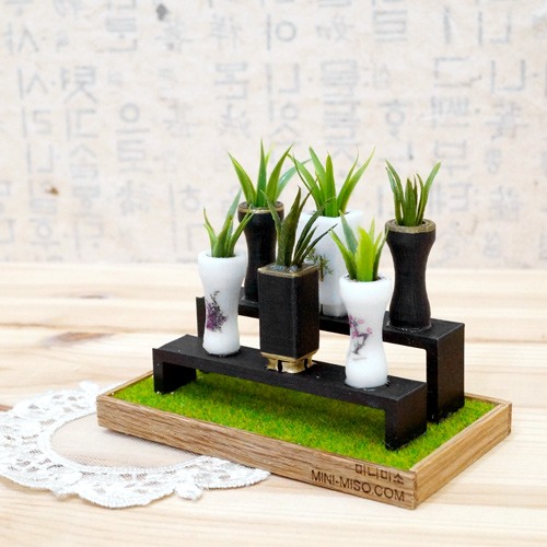 ��ǰ�̹���