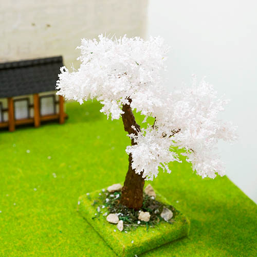 ��ǰ�̹���